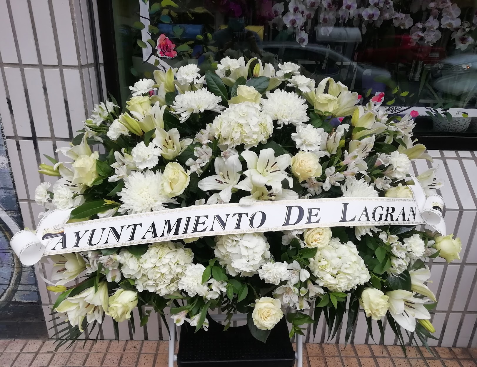 Plantas decorativas para el hogar