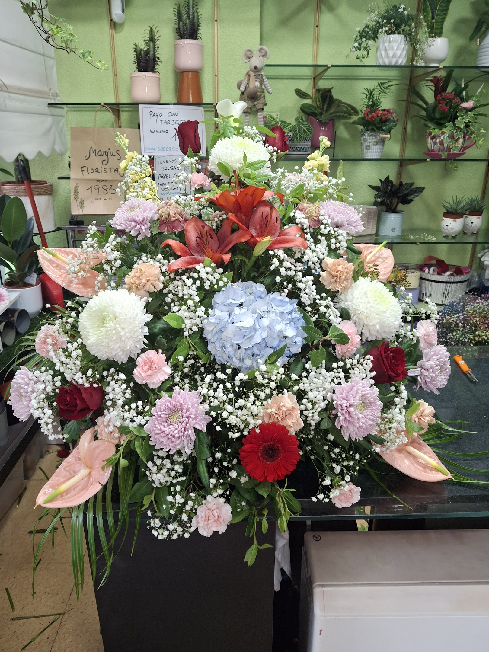 Floristería Marjus: Tu negocio familiar de flores en Vitoria-Gasteiz